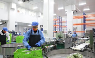 蔬菜配重機(jī)：解決人工成本與效率問(wèn)題，助力蔬菜加工發(fā)展